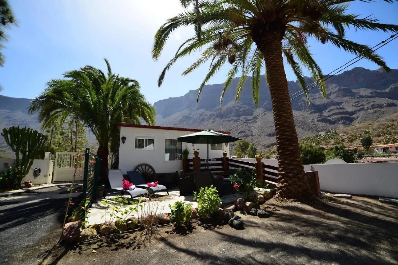 Eco / Bio Finca Las Tenerias Artedara